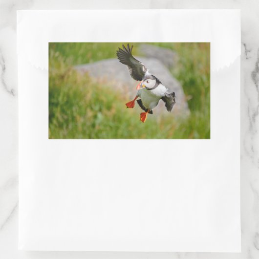 Atlantischer Puffvogel mit rechteckigem Aufkleber (Tasche)