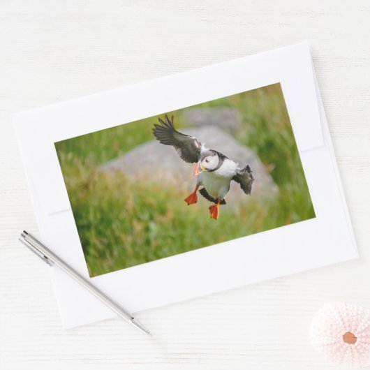 Atlantischer Puffvogel mit rechteckigem Aufkleber (Umschlag)