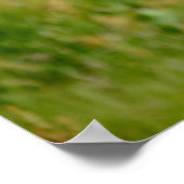 Atlantischer Puffvogel Poster (Ecke)