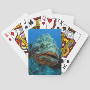 Atlantischer Riesen-Zackenbarsch Spielkarten