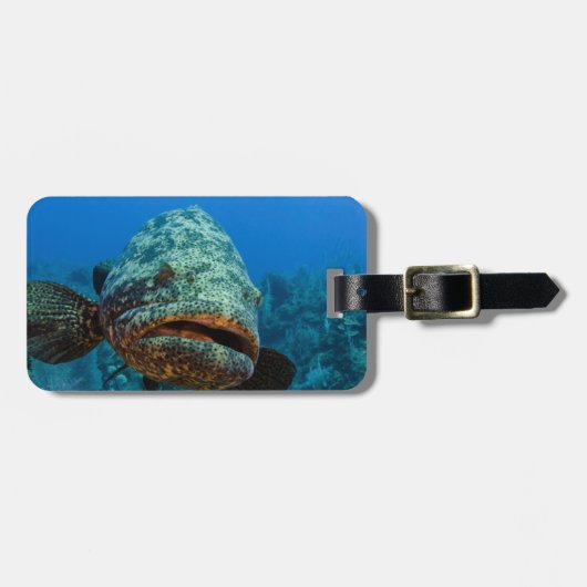 Atlantischer Riesenbarsch Gepäckanhänger (Vorderseite horizontal)