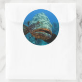 Atlantischer Riesenbarsch Runder Aufkleber (Tasche)