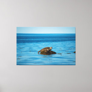 Atlantischer Seehund Leinwanddruck