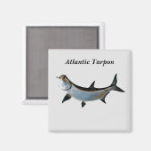 Atlantischer Tarpon Magnet (Vorderseite/Rückseite)