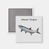 Atlantischer Tarpon-Magnet Magnet (Vorderseite/Rückseite)
