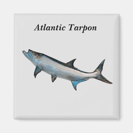 Atlantischer Tarpon-Magnet Magnet (Vorne)