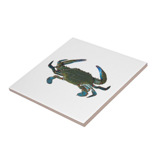 Atlantisches blaue Krabben-Logo Fliese (Seite)