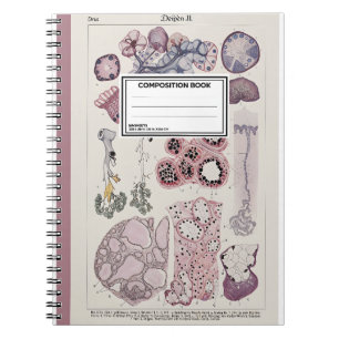 Atlas der menschlichen Gewebehistologie Notizbuch Notizblock