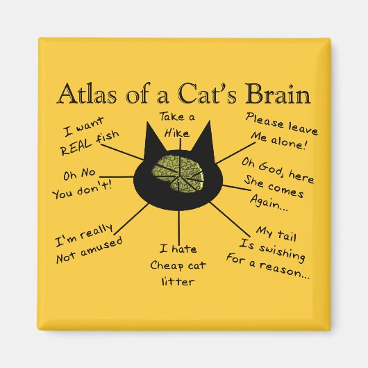 Atlas des Gehirns einer Katze Magnet (Vorne)