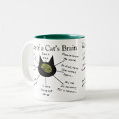 Atlas des Gehirns einer Katze Zweifarbige Tasse (Vorderseite Links)