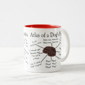 Atlas des Gehirns eines Hundes Zweifarbige Tasse (VorderseiteRechts)