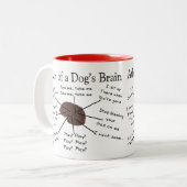 Atlas des Gehirns eines Hundes Zweifarbige Tasse (Vorderseite Links)