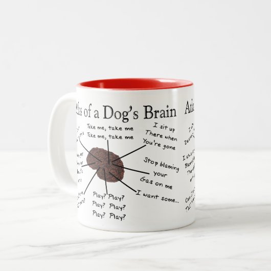 Atlas des Gehirns eines Hundes Zweifarbige Tasse (Vorderseite Links)