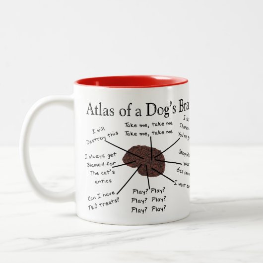 Atlas des Gehirns eines Hundes Zweifarbige Tasse (Links)