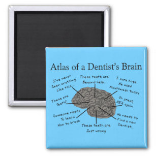 Atlas des Gehirns eines Zahnarztes Magnet