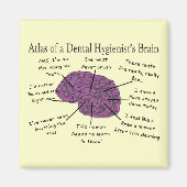 Atlas des Gehirns eines Zahnarztes Magnet (Vorne)