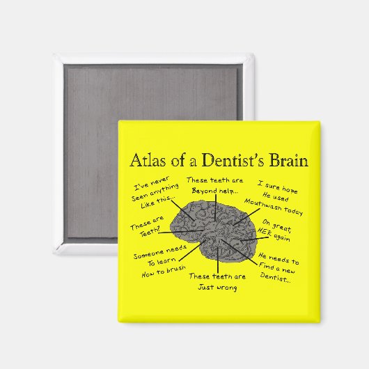 Atlas des Gehirns eines Zahnarztes Magnet (Vorderseite/Rückseite)