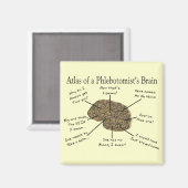 Atlas des Hirns eines Phlebotomisten Magnet (Vorderseite/Rückseite)