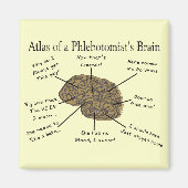 Atlas des Hirns eines Phlebotomisten Magnet (Vorne)