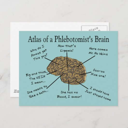 Atlas des Hirns eines Phlebotomisten Postkarte (Vorne/Hinten)