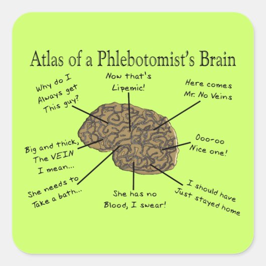Atlas des Hirns eines Phlebotomisten Quadratischer Aufkleber (Vorderseite)