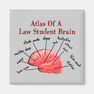 Atlas des Jurastudent-Gehirns Magnet