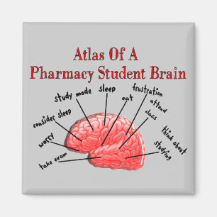 Atlas eines Apotheken-Studenten-Gehirns Magnet