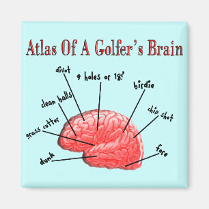 Atlas eines Golfer-Gehirns Magnet