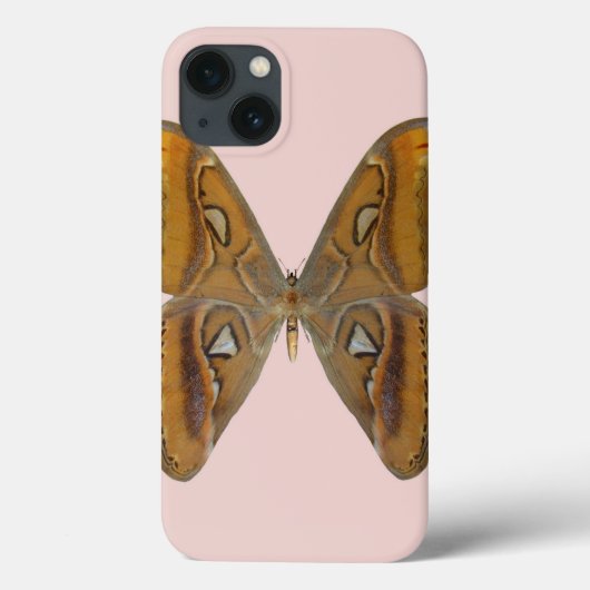 Atlas Moth Case-Mate iPhone Hülle (Rückseite)