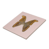 Atlas Moth Fliese (Seite)