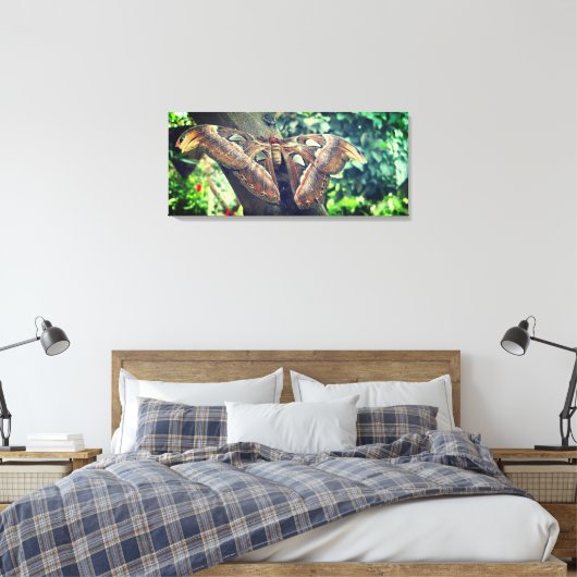 Atlas Moth Leinwanddruck (Insitu (Schlafzimmer))