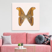 Atlas Moth Leinwanddruck (Insitu (Wohnzimmer))