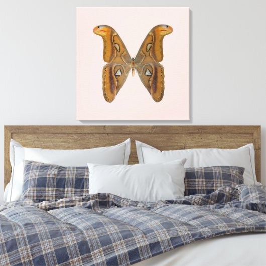 Atlas Moth Leinwanddruck (Insitu (Schlafzimmer))