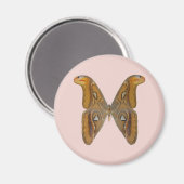 Atlas Moth Magnet (Vorderseite/Rückseite)