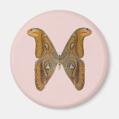 Atlas Moth Magnet (Vorne)