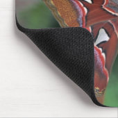 Atlas-Moth Mousepad (Ecke)