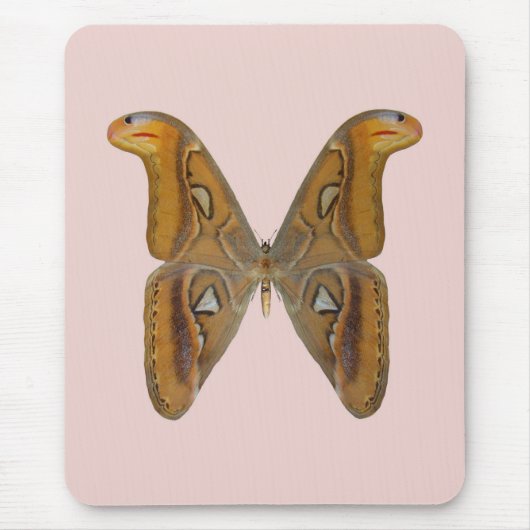 Atlas Moth Mousepad (Vorne)