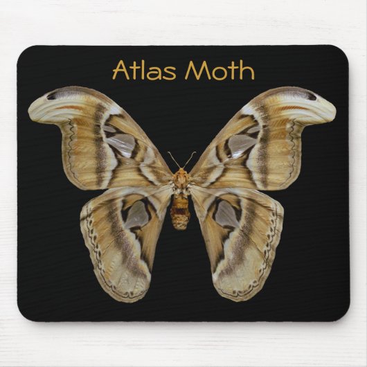 Atlas Moth Mousepad (Vorne)