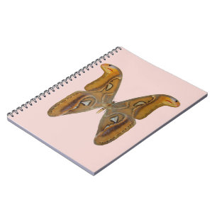 Atlas Moth Notizblock