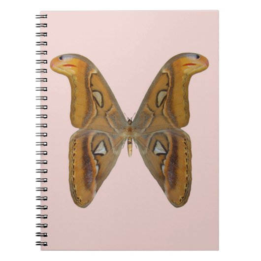 Atlas Moth Notizblock (Vorderseite)