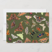 Atlas Moth Personalisiert Stationery Note Card Einladung (Rückseite)
