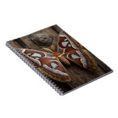 Atlas Moth Rustic Notebook Notizblock (Rechte Seite)