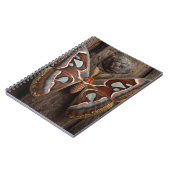 Atlas Moth Rustic Notebook Notizblock (Linke Seite)