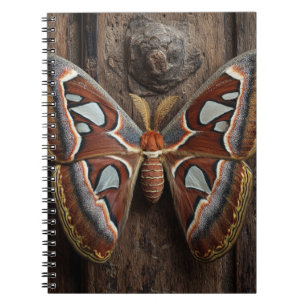 Atlas Moth Rustic Notebook Notizblock