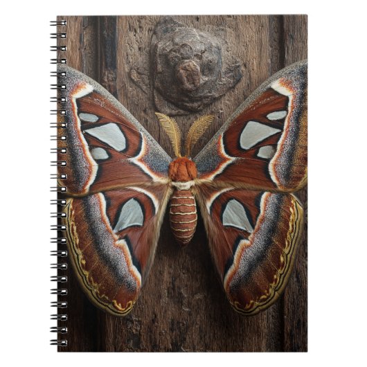 Atlas Moth Rustic Notebook Notizblock (Vorderseite)