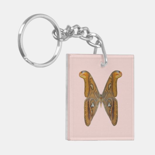 Atlas Moth Schlüsselanhänger (Vorderseite links)