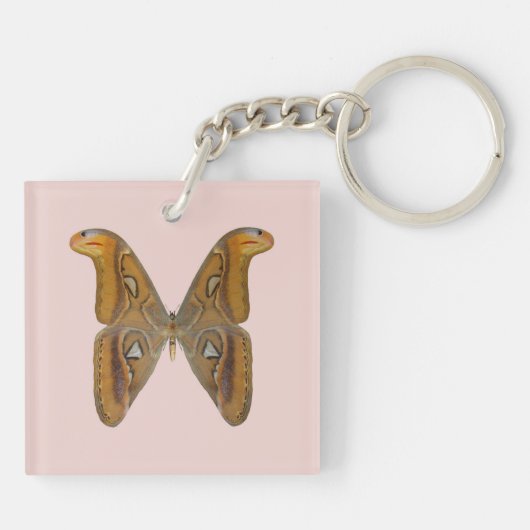 Atlas Moth Schlüsselanhänger (Rückseite)