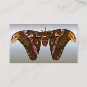 Atlas Moth - Snake Head Visitenkarte (Rückseite)