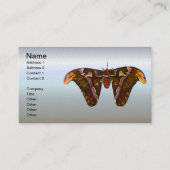 Atlas Moth - Snake Head Visitenkarte (Vorderseite)