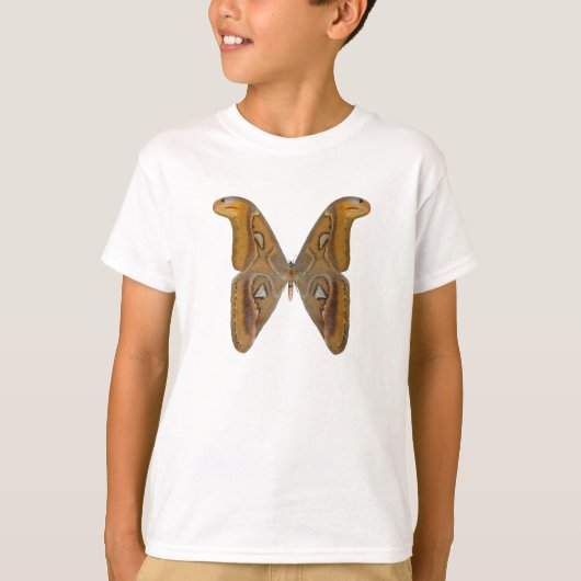 Atlas Moth T-Shirt (Vorderseite)